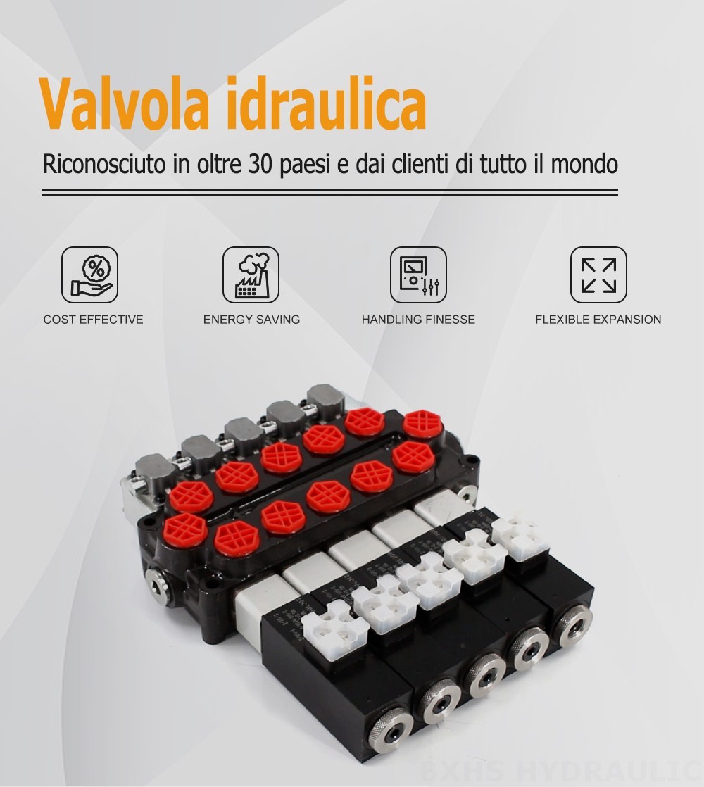 Valvola Q45 Solenoide e manuale 5 Spool Valvola direzionale monoblocco